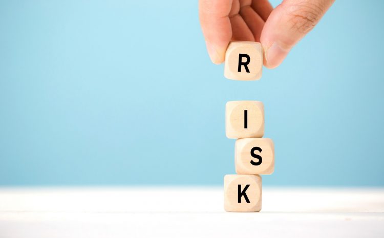  Risk Analizi